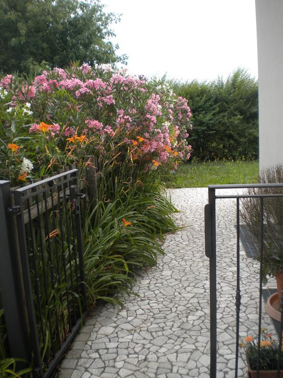 Agriturismo Il Magicorto Cassola Rom bilde