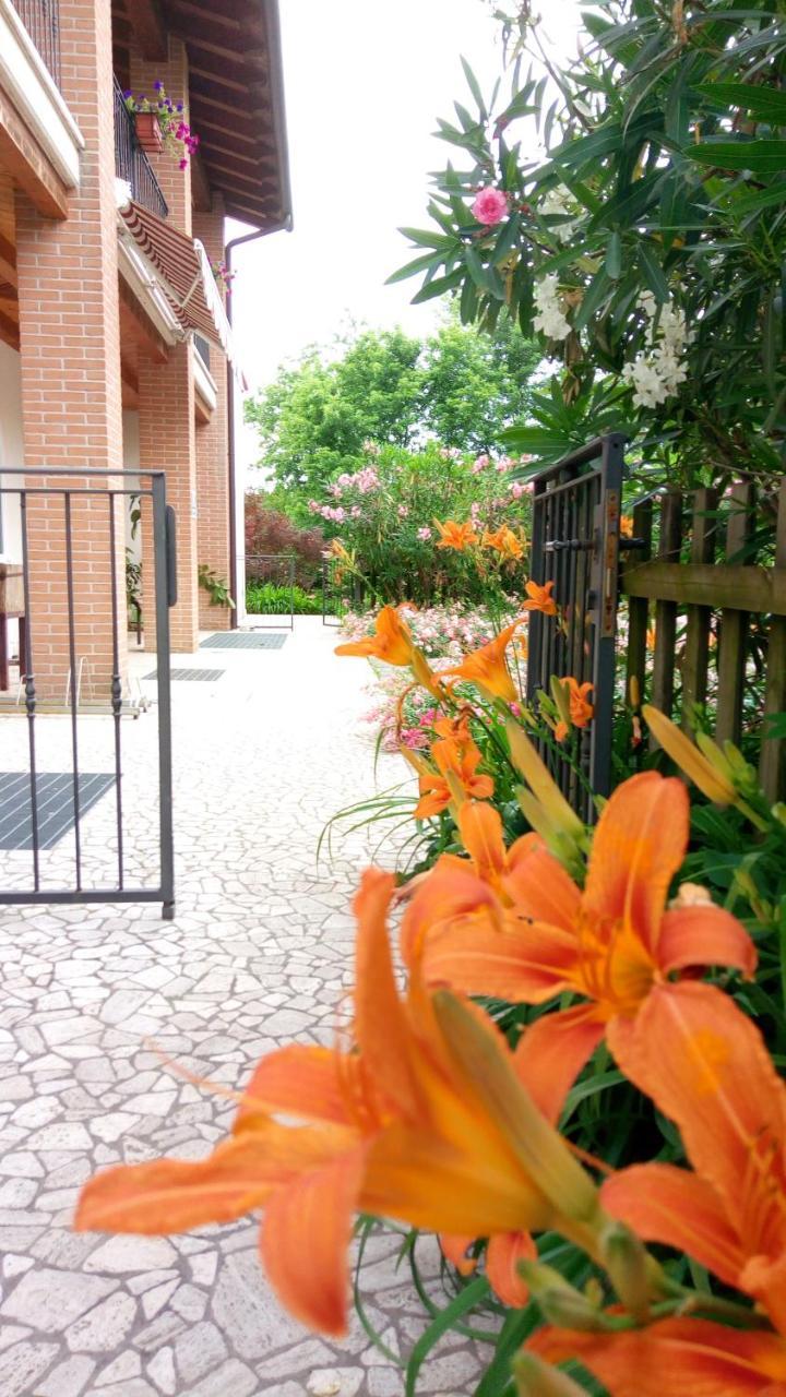 Agriturismo Il Magicorto Cassola Eksteriør bilde