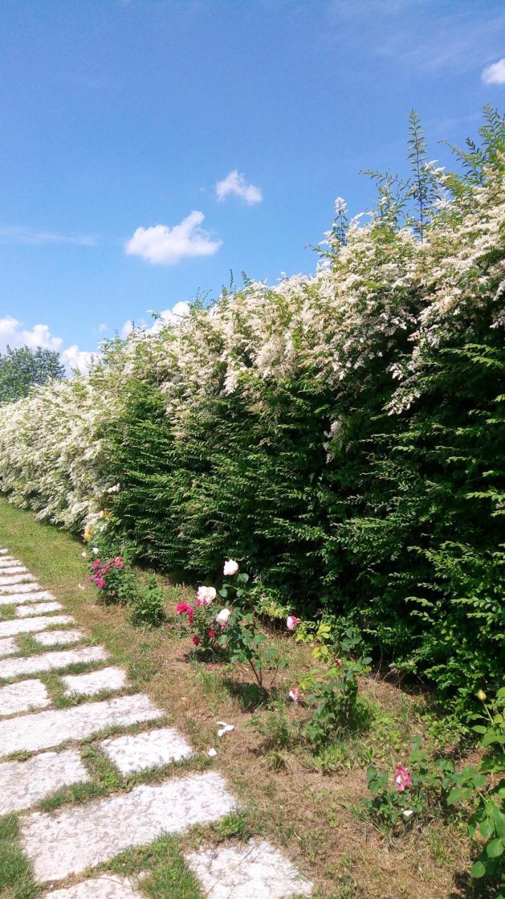 Agriturismo Il Magicorto Cassola Eksteriør bilde